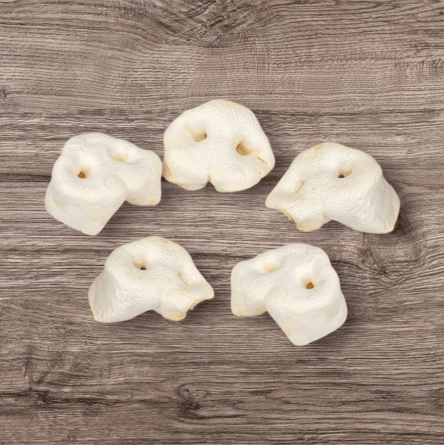 đ Nez de cochon soufflĂ© (100% off) - Gentle Dog