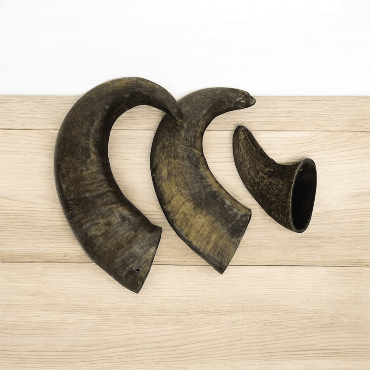 đ Corne de buffle (100% off) - Gentle Dog