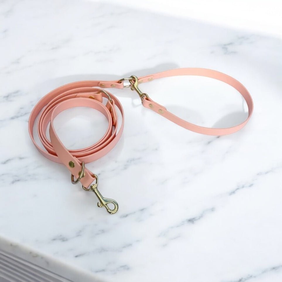 Laisse 3 positions 2.5m - Gentle Dog