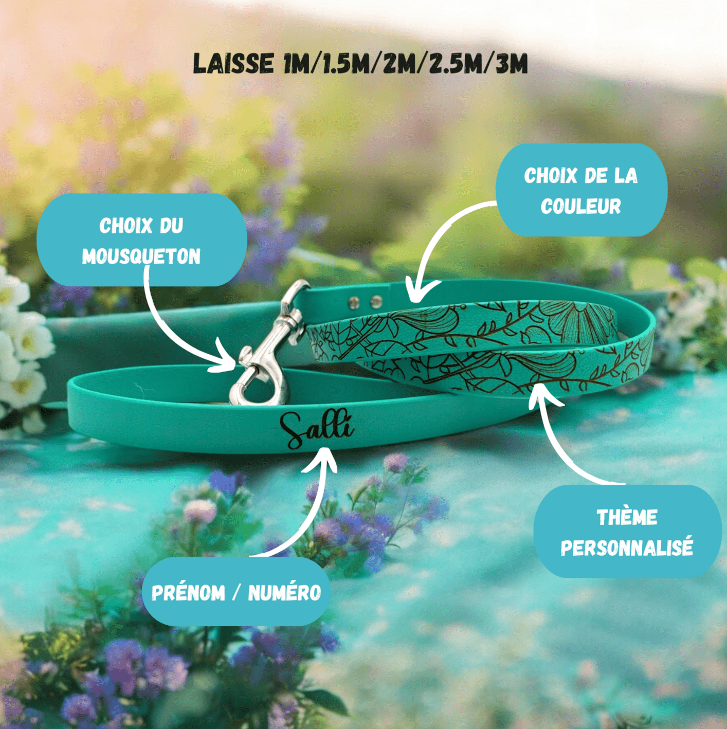 Accessoires - Gentle Dog