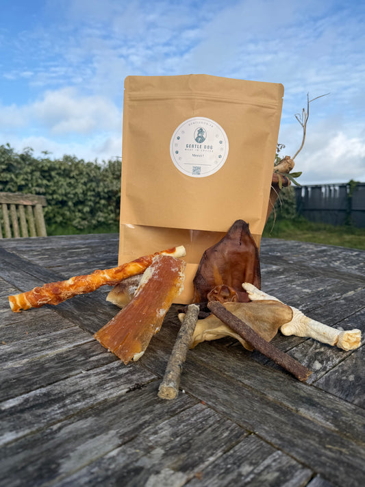 Pack mastication/plaisir  - Gentle Dog