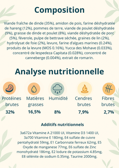 Primordial chat problèmes urinaires - Gentle Dog