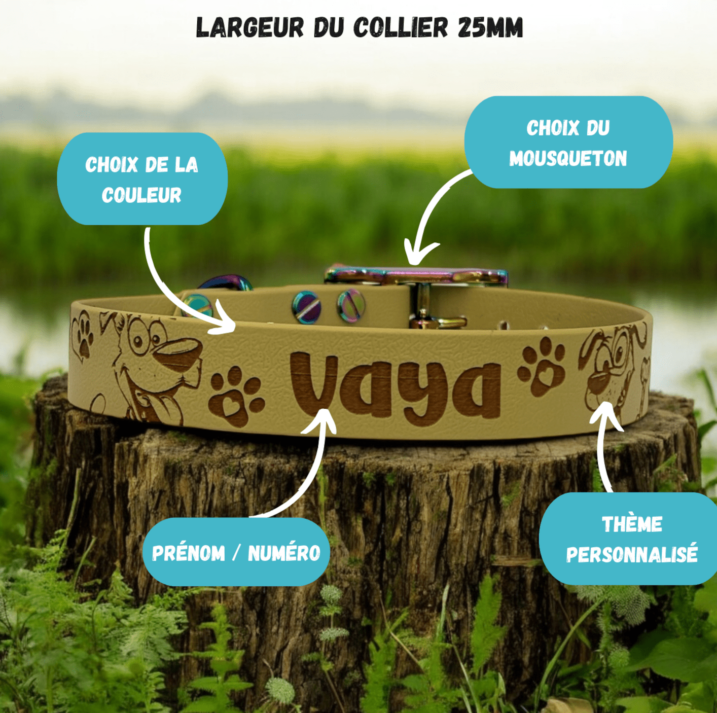 Collier biothane 25mm - Gentle Dog