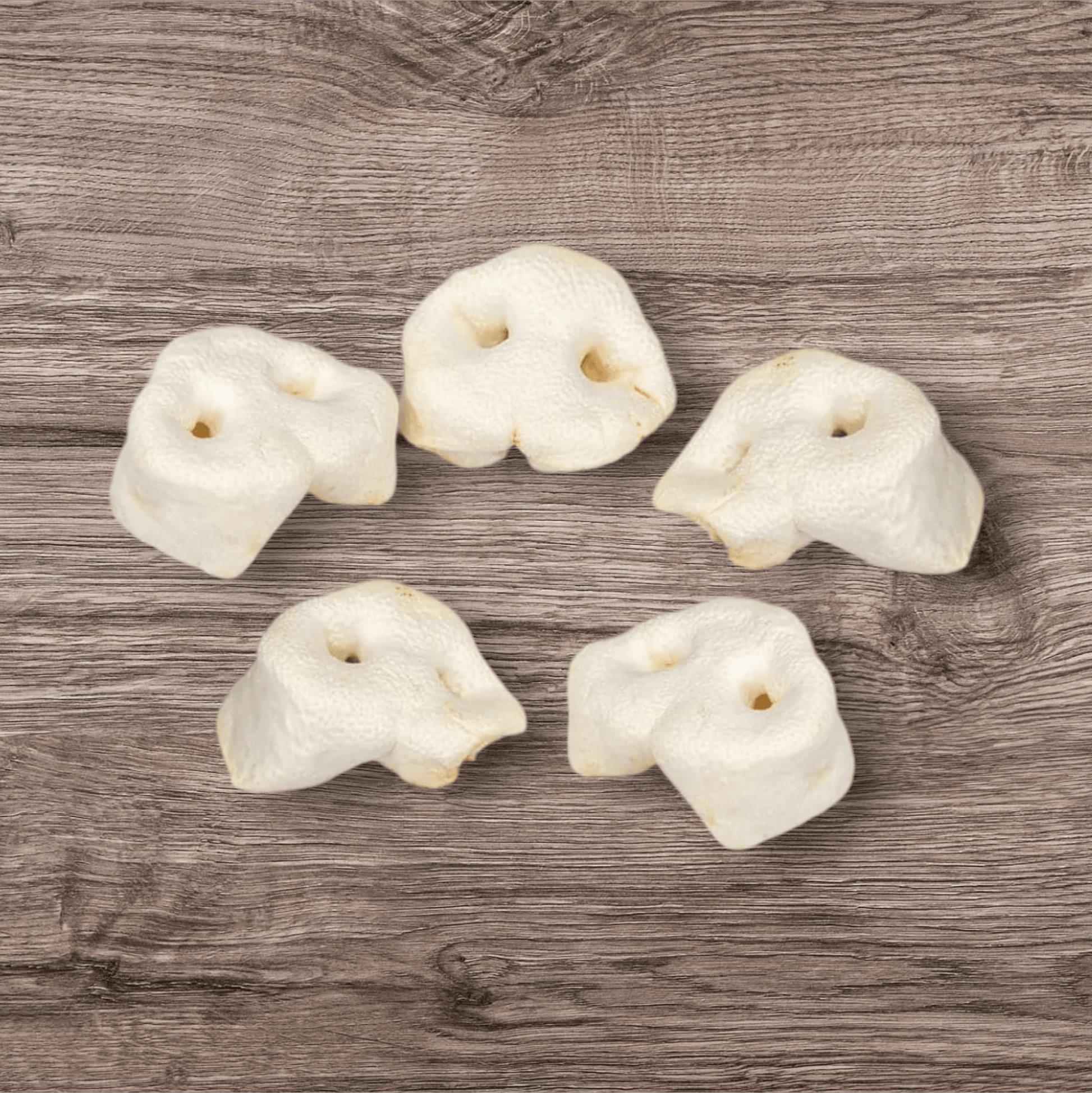 🎁 Nez de cochon soufflé (100% off) - Gentle Dog