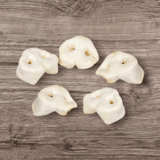 🎁 Nez de cochon soufflé (100% off) - Gentle Dog