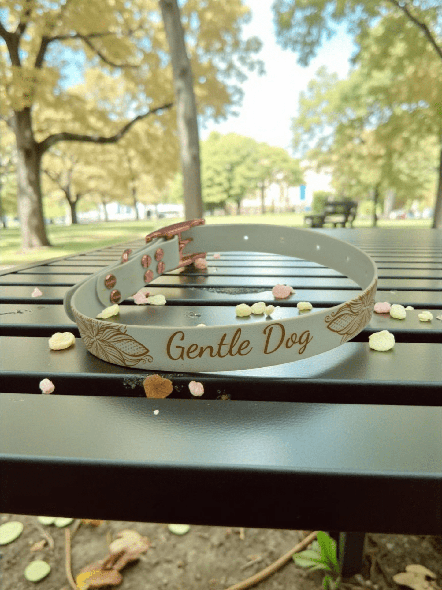 Collier biothane 25mm - Gentle Dog