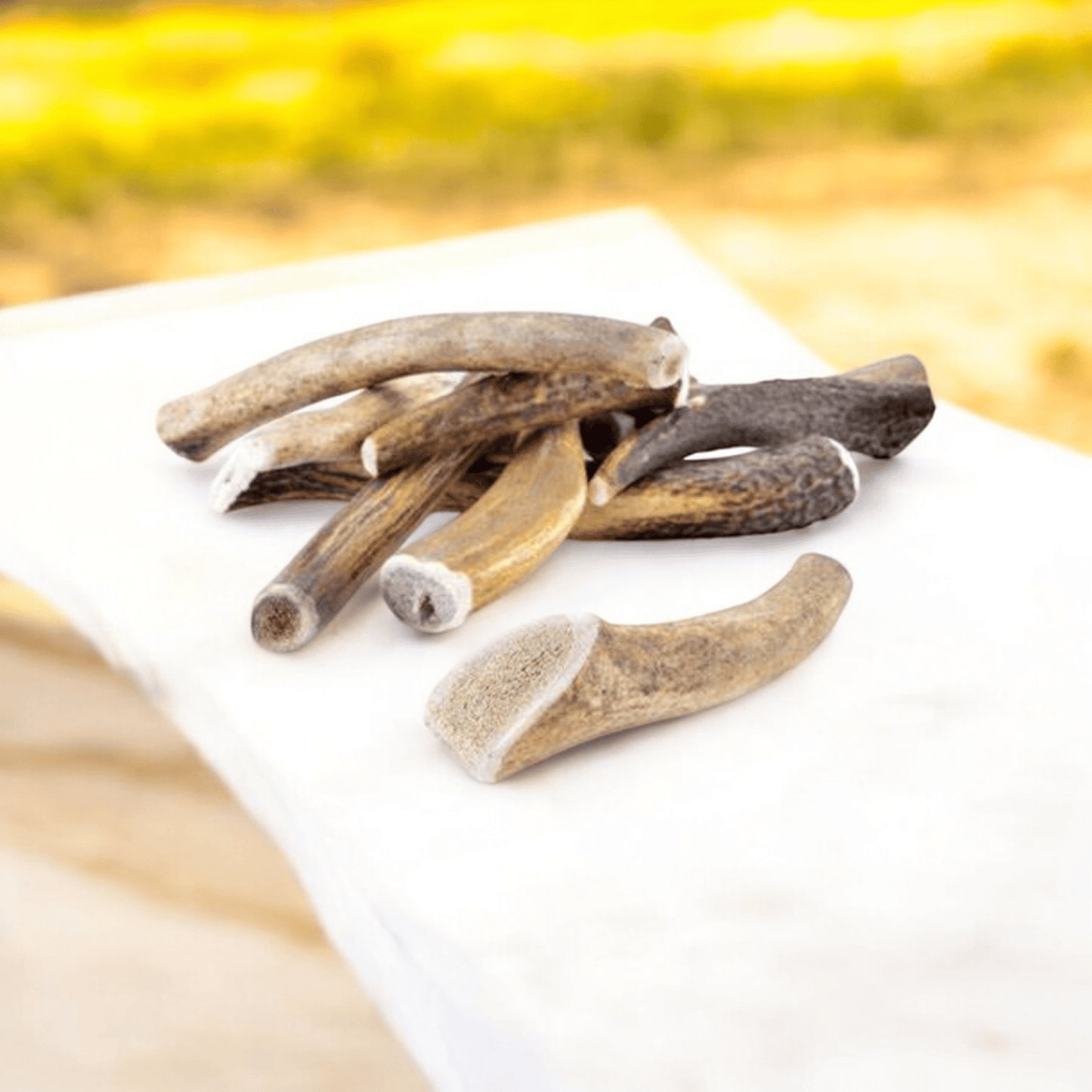 🎁 Bois de cerf (100% off) - Gentle Dog