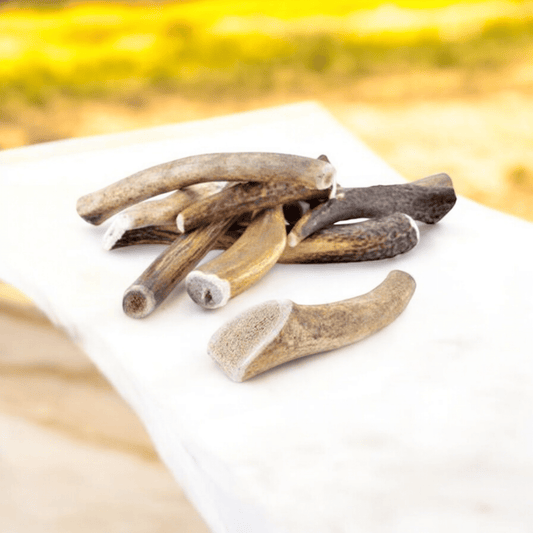 🎁 Bois de cerf (100% off) - Gentle Dog