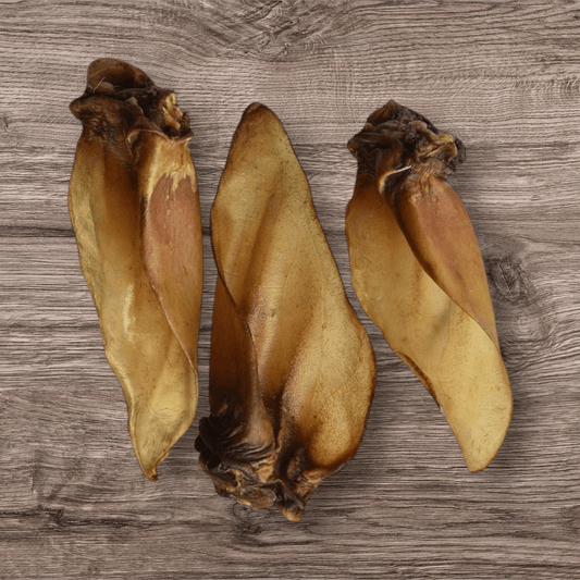 🎁 Oreille de boeuf (100% off) - Gentle Dog