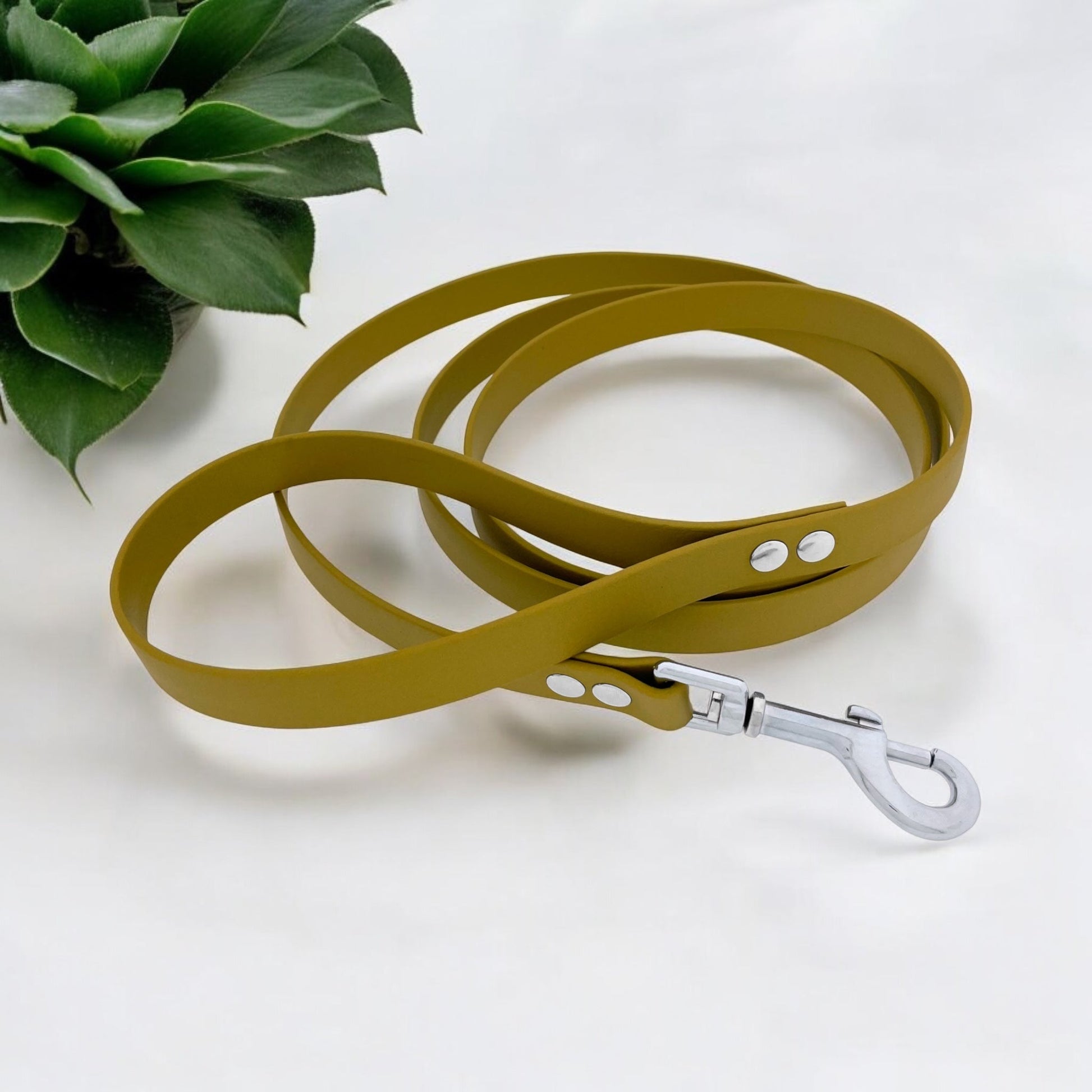 Laisse biothane classique - Gentle Dog
