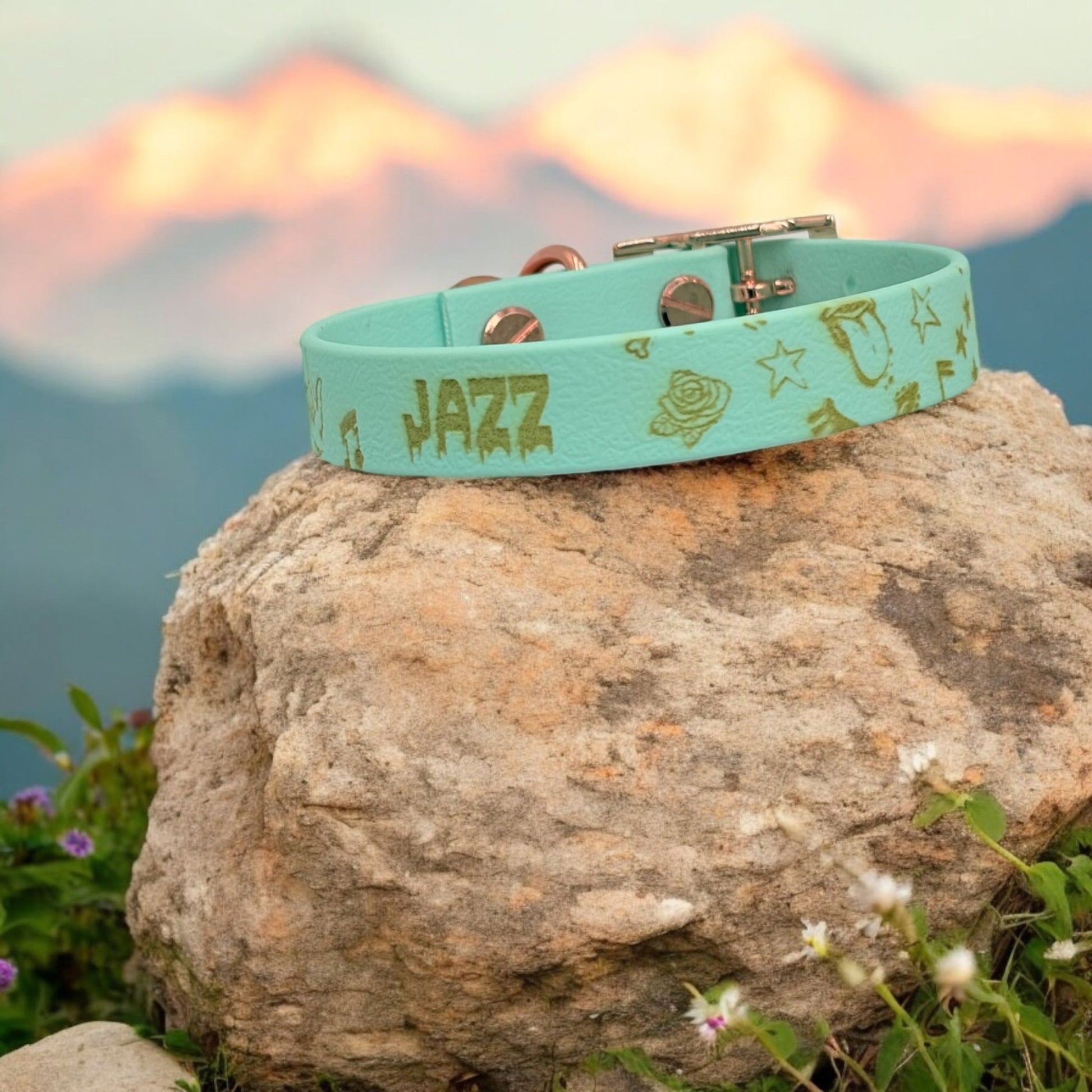 Collier biothane 16mm - Gentle Dog