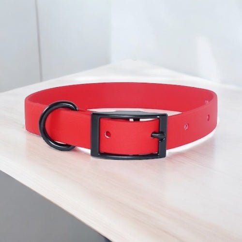 Collier biothane classique - Gentle Dog