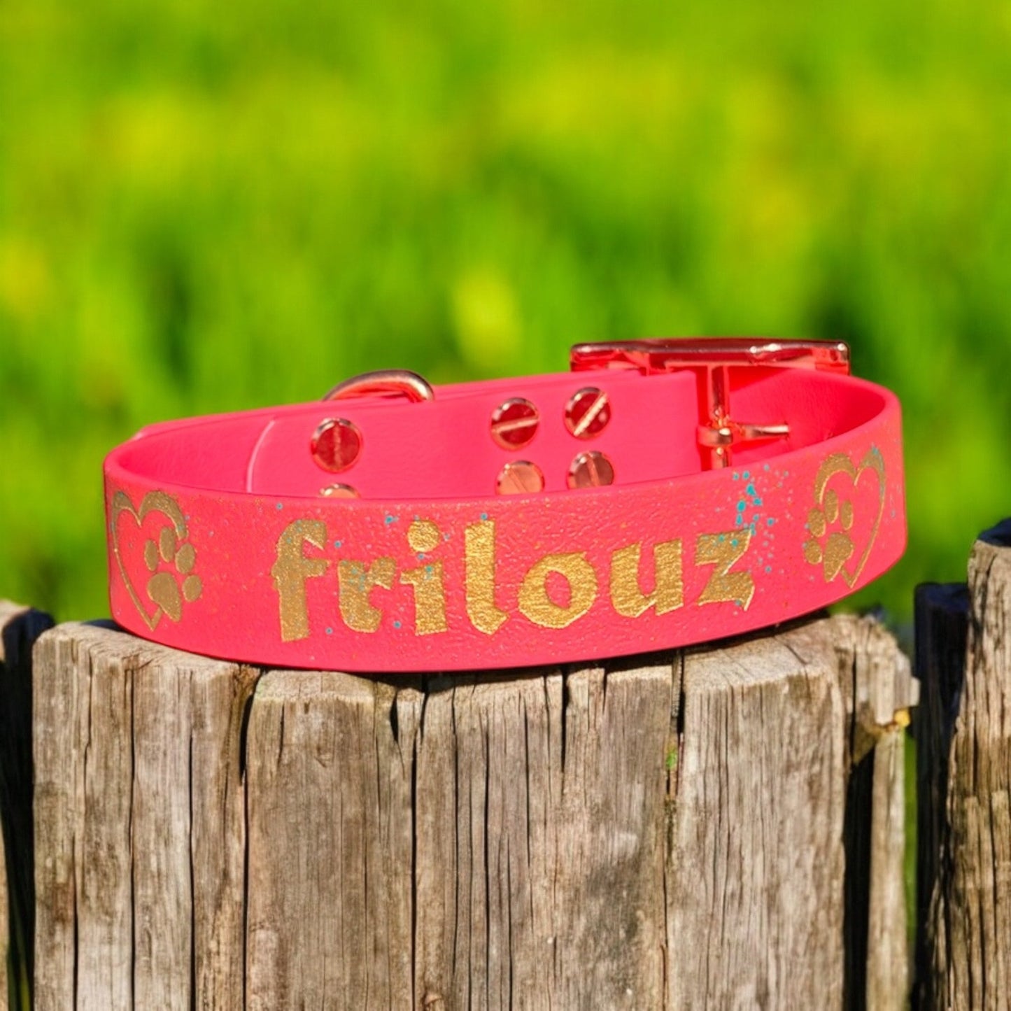 Collier biothane coloré - Gentle Dog