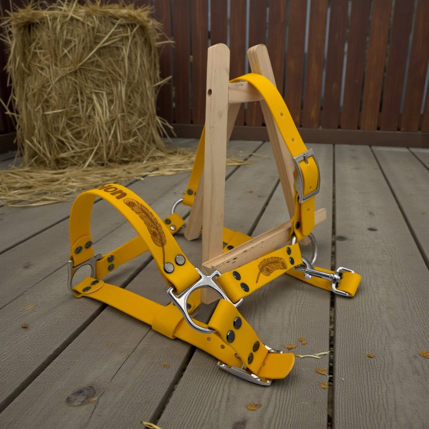 Licol en biothane 25mm - Gentle Dog