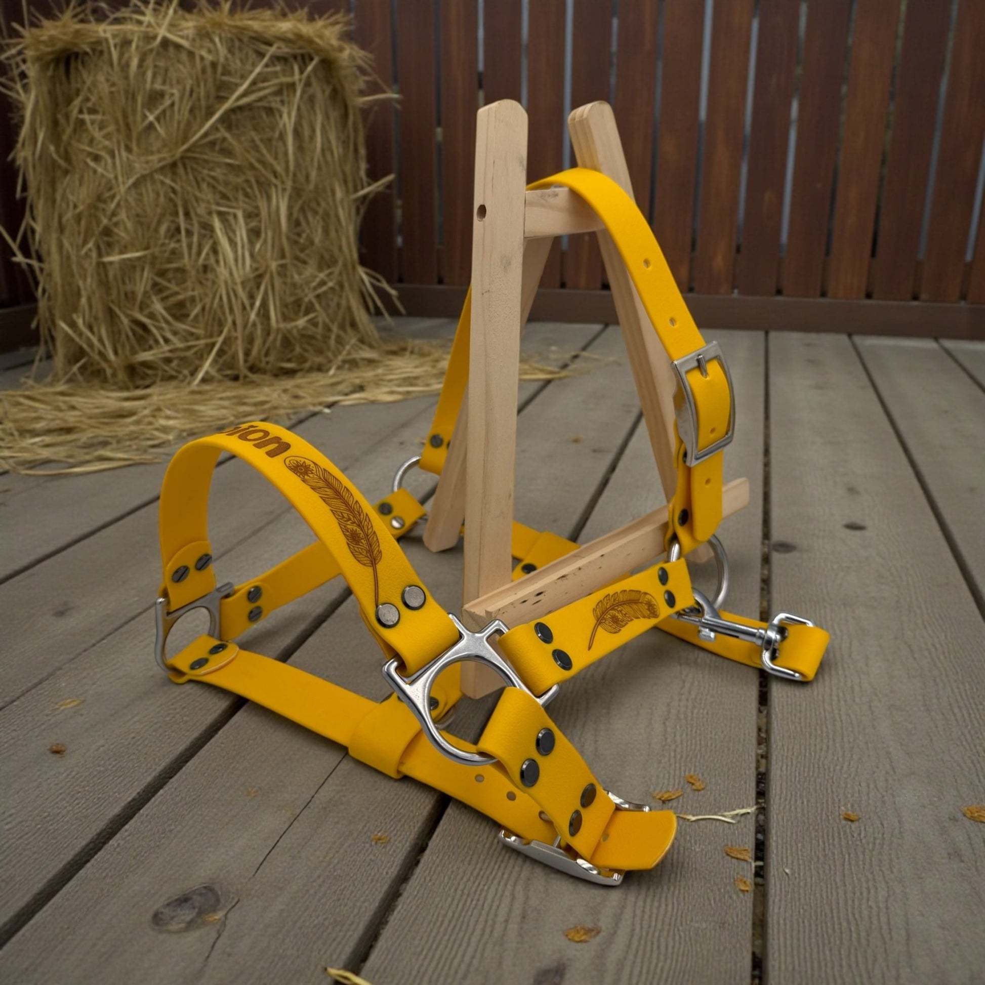 Licol en biothane 25mm - Gentle Dog