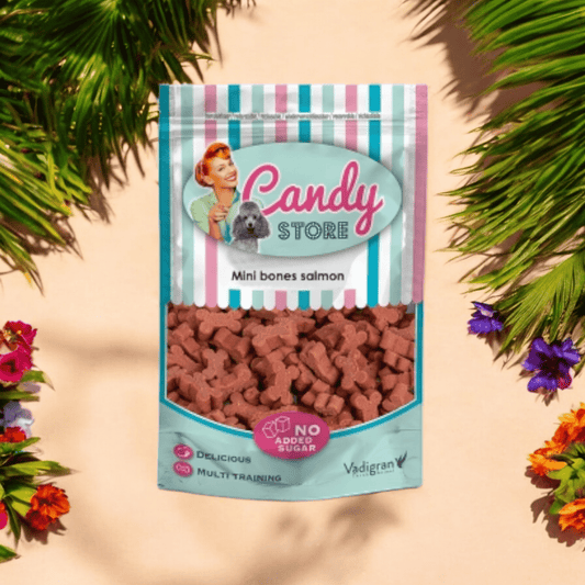 Friandises Candy store Saumon 180G - Gentle Dog