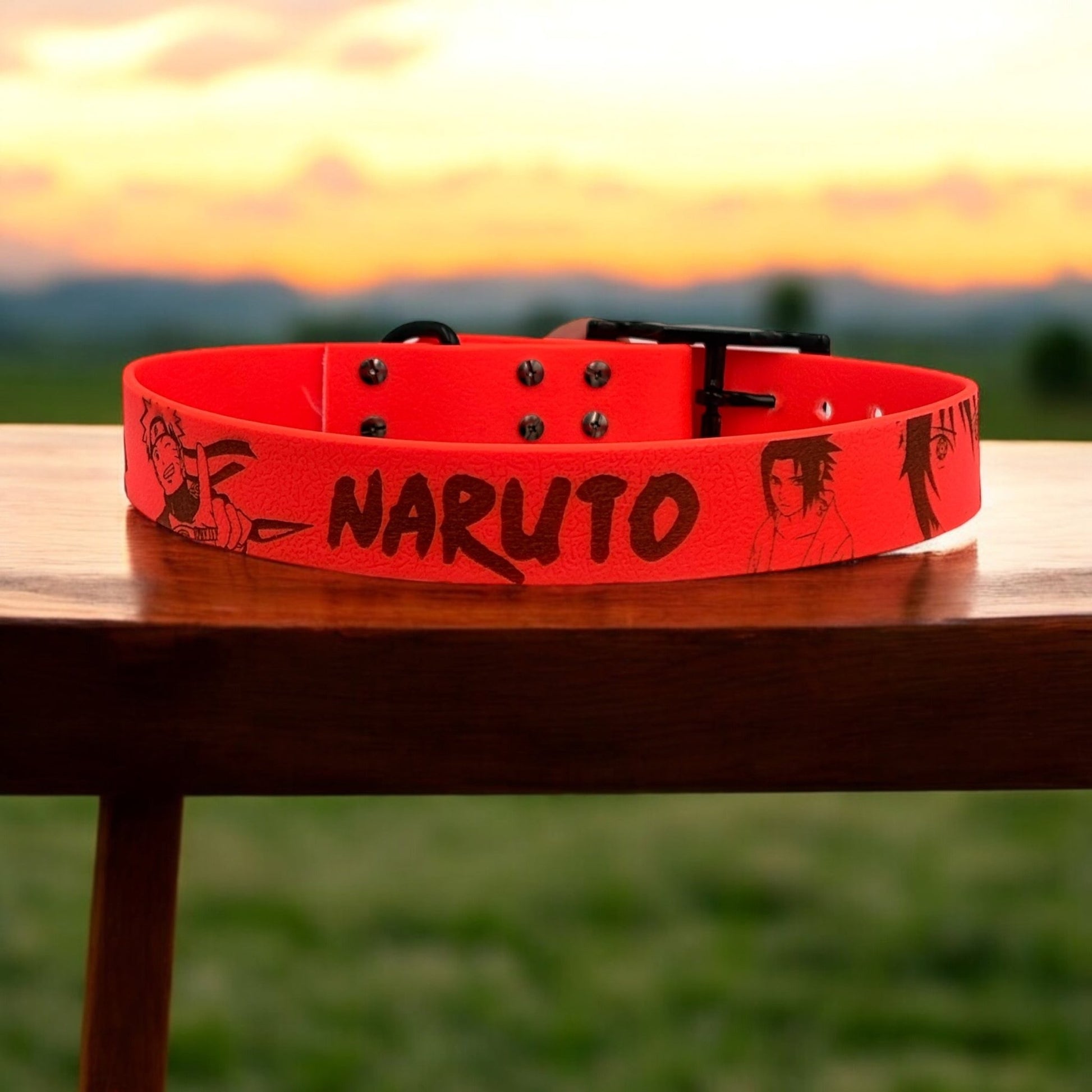 Collier biothane 25mm - Gentle Dog