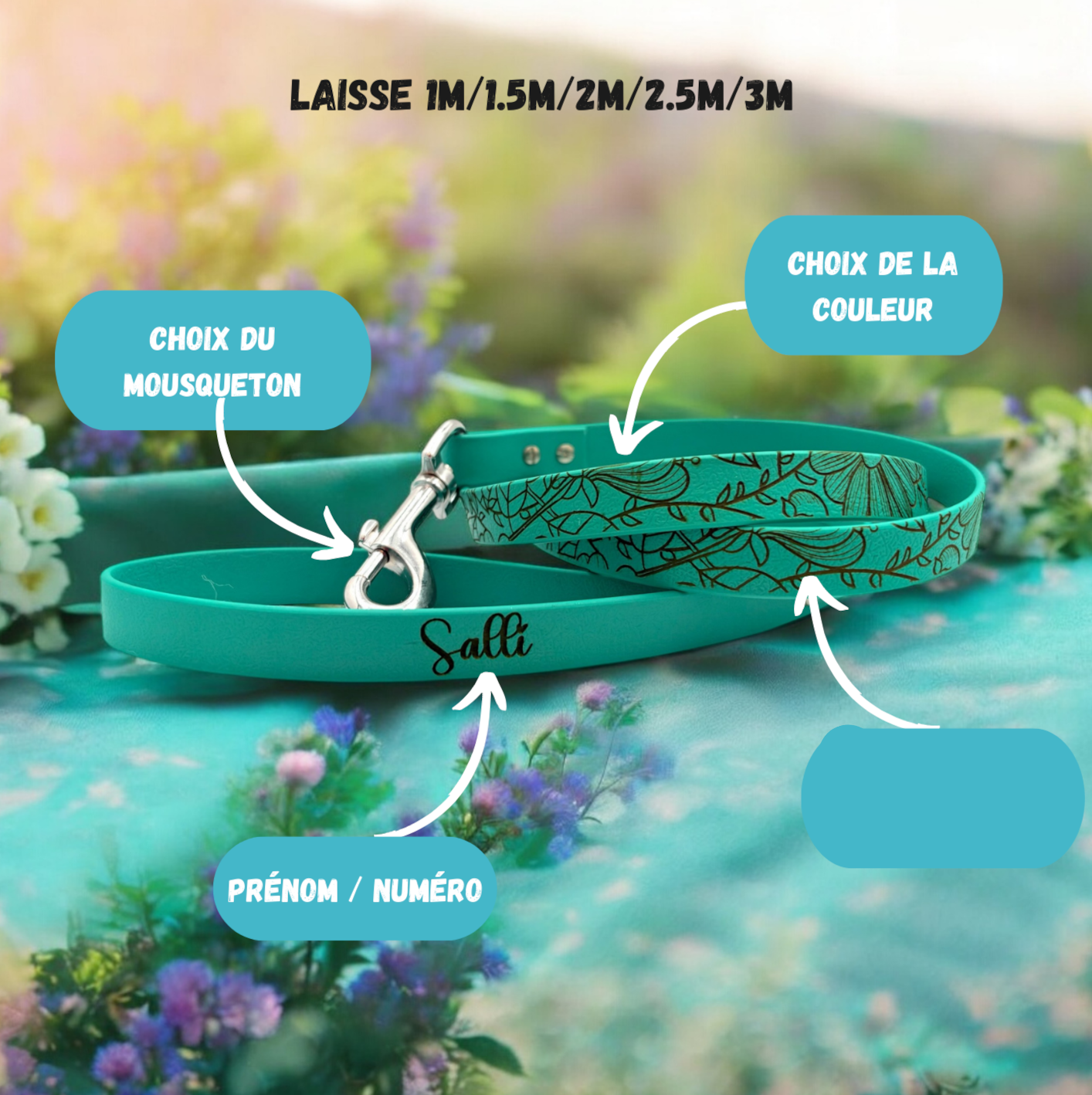 Laisse biothane classique