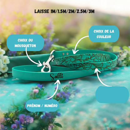 Laisse biothane classique